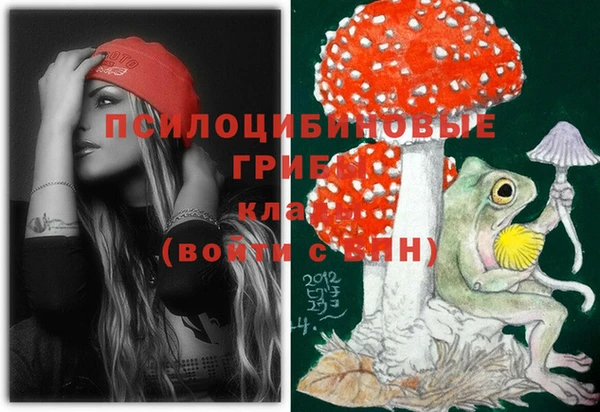 герыч Кинешма
