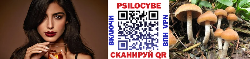 Псилоцибиновые грибы мицелий  сайты даркнета формула  Тамбов 