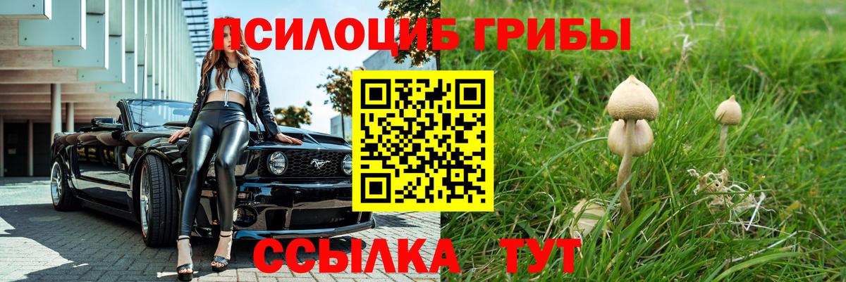 Псилоцибиновые грибы GOLDEN TEACHER Тамбов